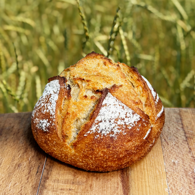 kamut-boulangerie-epifanny