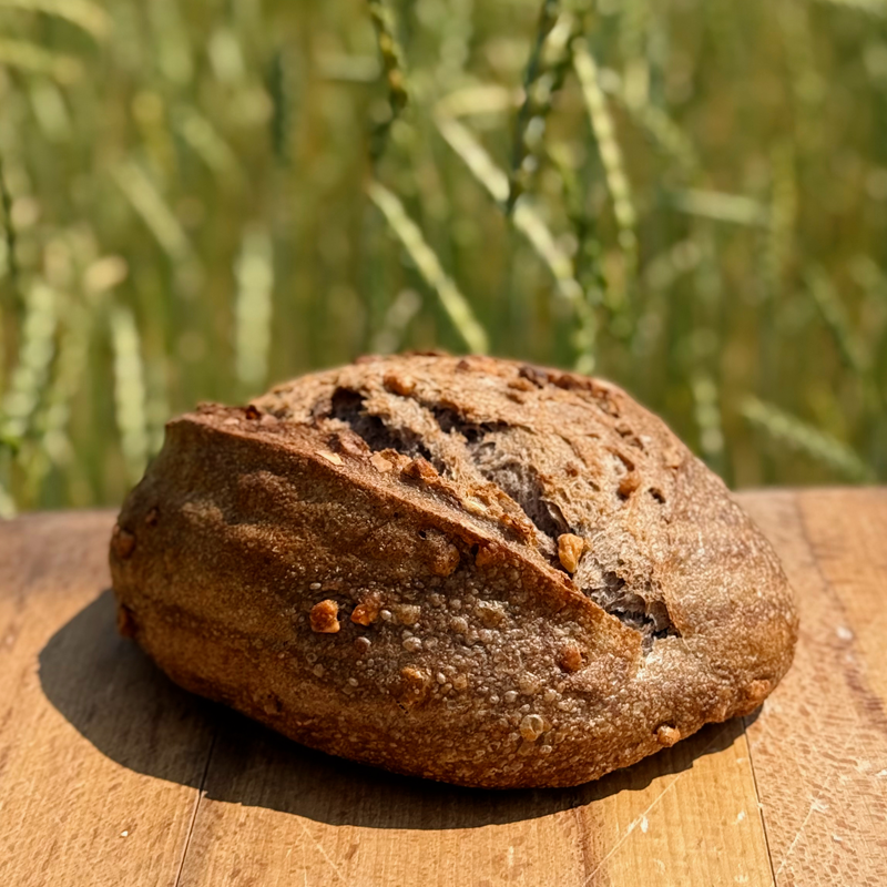 pain-integral-et-noix-boulangerie-epifanny